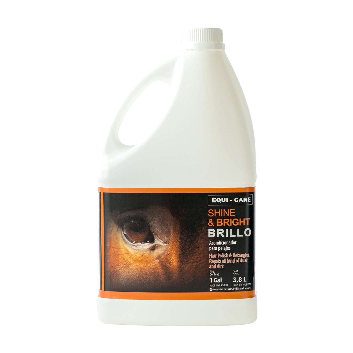 Shine & Bright 1gal