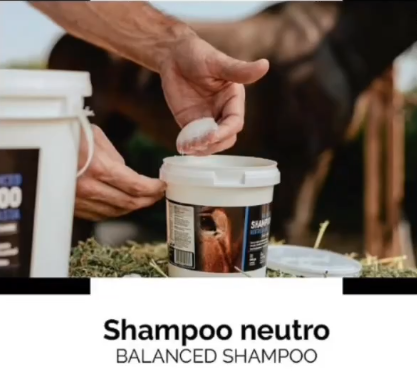 Shampoo paste 32oz