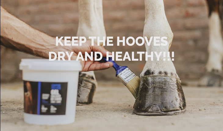 Copper Sulfate Hoof Gel 28oz