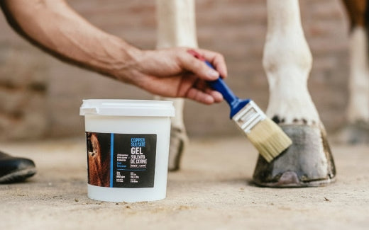 Copper Sulfate Hoof Gel 28oz